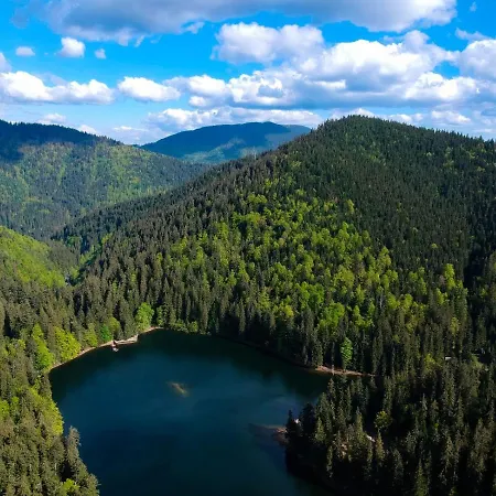 U Vani * فولوفيتس