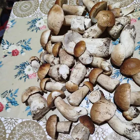 U Vani * Воловец