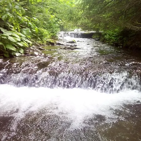 U Vani فولوفيتس